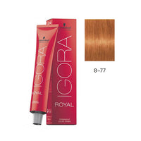TINTE IGORA ROYAL 60ML