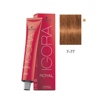 TINTE IGORA ROYAL 60ML