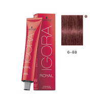 TINTE IGORA ROYAL 60ML