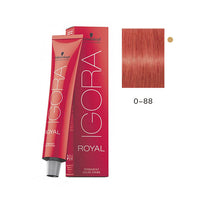 TINTE IGORA ROYAL 60ML