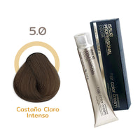 TINTE ISSUE PROFESSIONAL 70G
