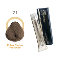 TINTE ISSUE PROFESSIONAL 70G