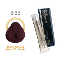 TINTE ISSUE PROFESSIONAL 70G