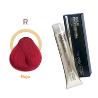 TINTE ISSUE PROFESSIONAL 70G