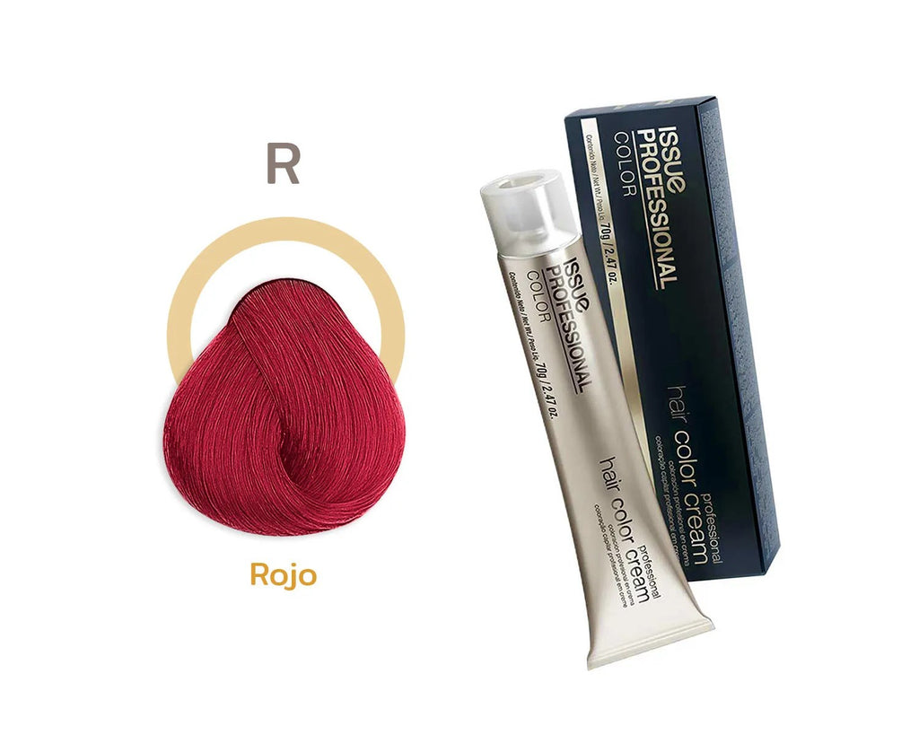 TINTE ISSUE PROFESSIONAL 70G