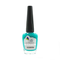 ESMALTE MOLLIE 12ML