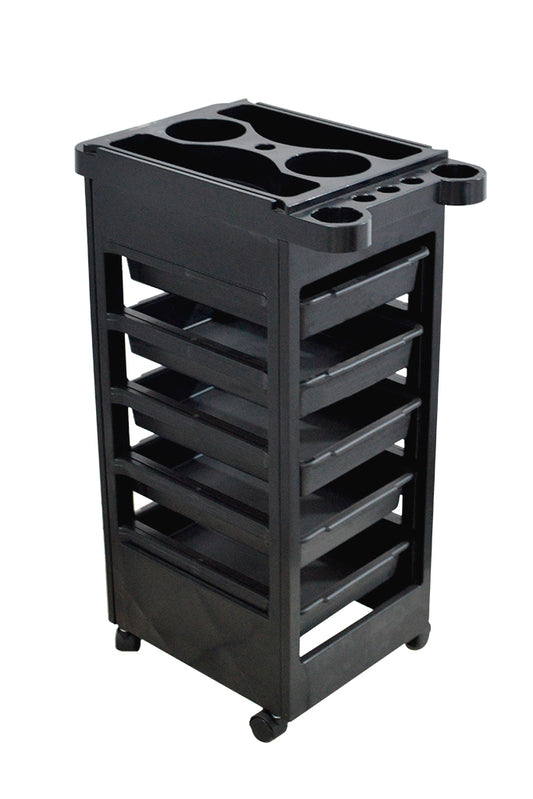 ASISTENTE STYLE BOX
